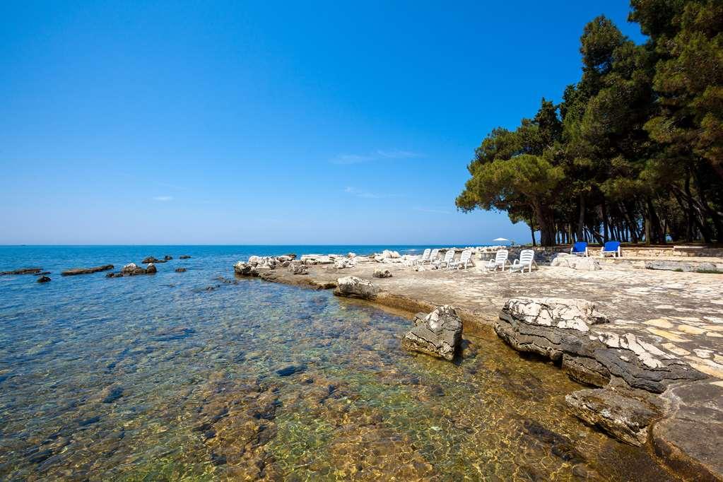 Istrian Plava Laguna Vila